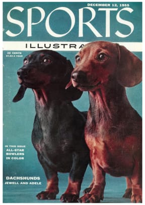 42387 - Cover Image